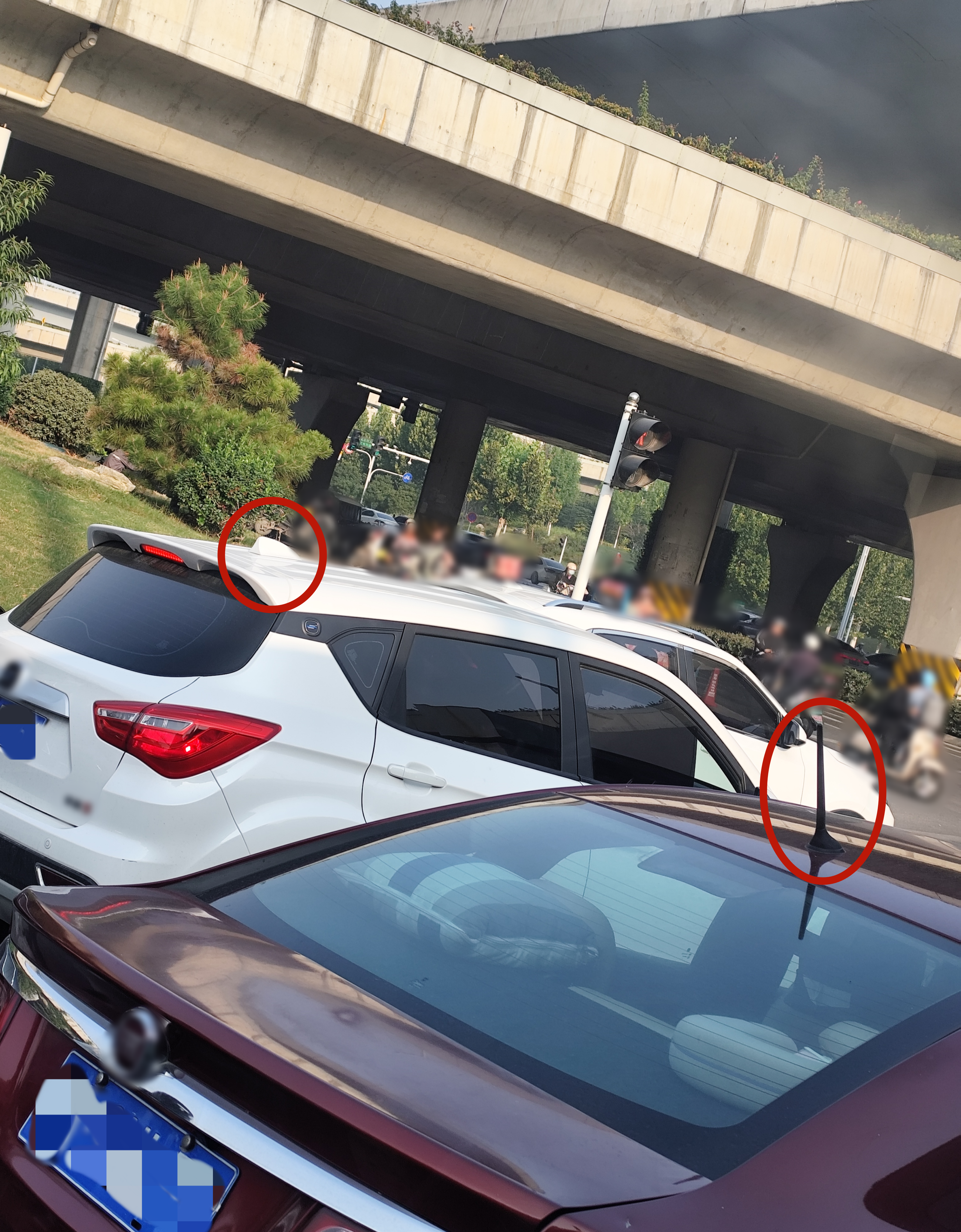 car antenna and Shark fin antenna antena de coche