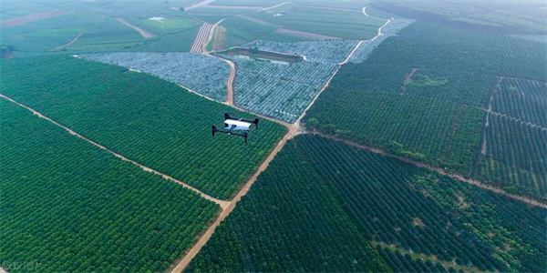 Transporte expreso con drones